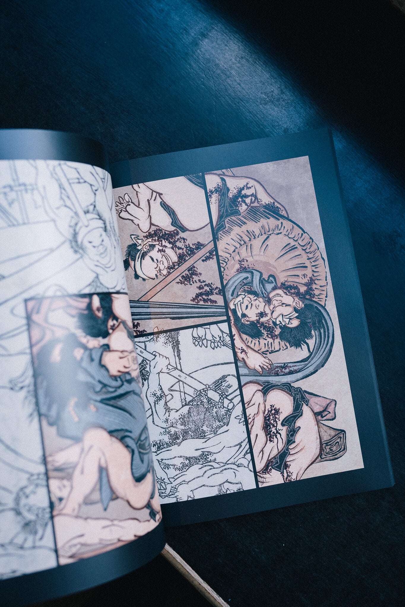 50 Digital Views of Hokusai by Frank Brendel